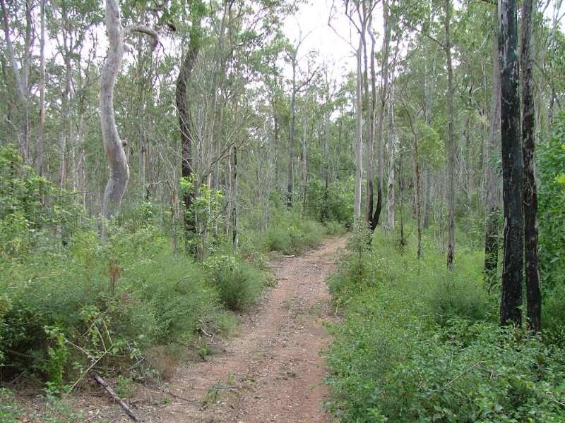 Lot 100 Mt Binga Road, Blackbutt, Qld 4314 Property Details