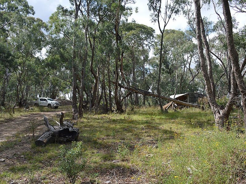 99 Lindsay Street, Hargraves, NSW 2850 Property Details