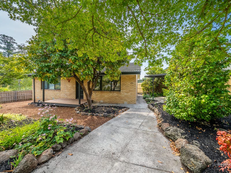 295 Forest Road, The Basin, VIC 3154