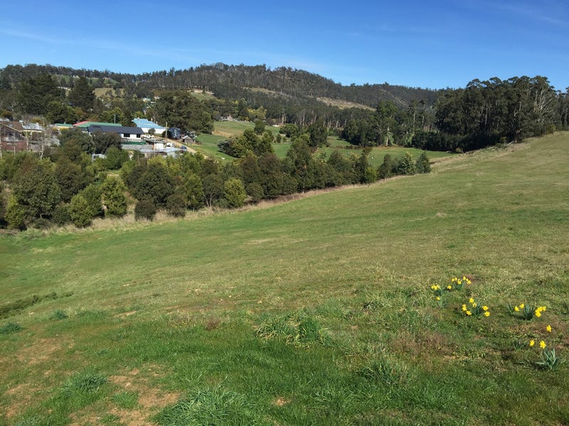 24 Silver Hill Road, TAS 7112