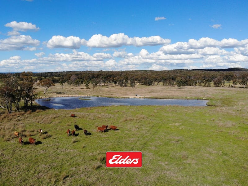 13194 GUYRA ROAD, Tingha, NSW 2369 Property Details