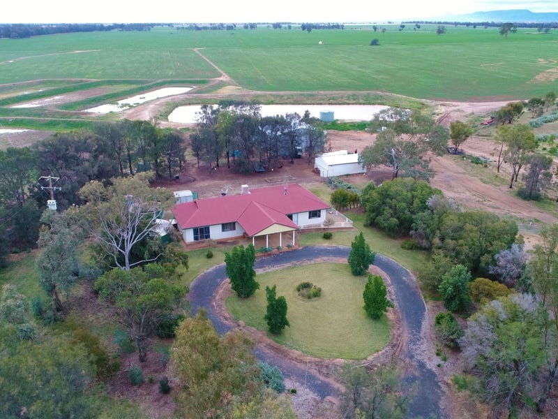 Rural properties for Sale in Gulargambone, NSW 2828