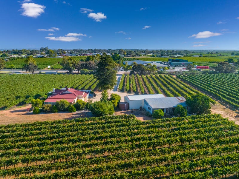 17560 Sturt Highway, Barmera, SA 5345 Lifestyle for Sale realestate