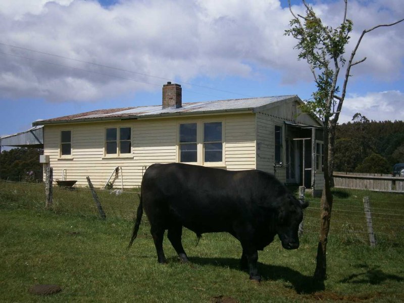 211 West Calder Road, Calder, Tas 7325 Property Details
