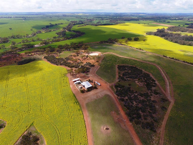 417 Airstrip Road, Moora, WA 6510 Other for Sale