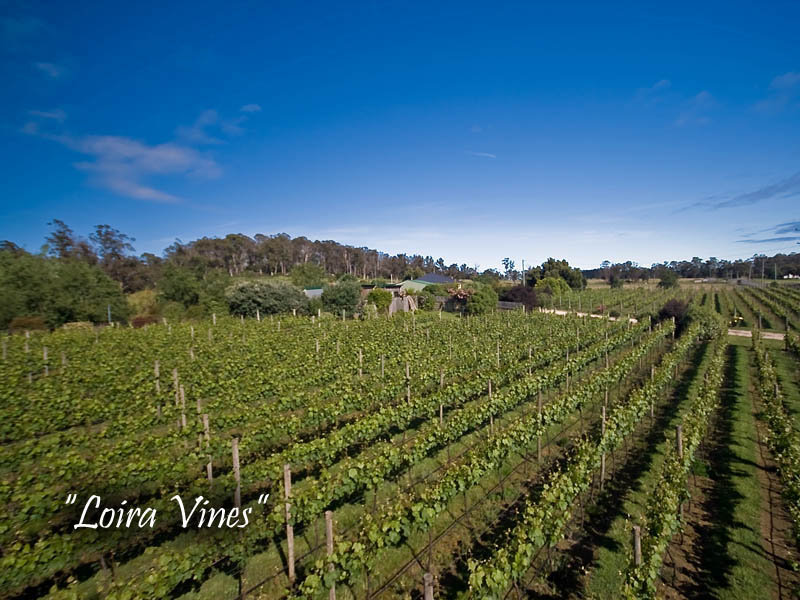 3191 West Tamar Highway, Sidmouth, Tas 7270 Property Details