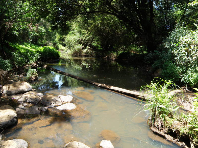 338 Rous Road, Chilcotts Grass, NSW 2480