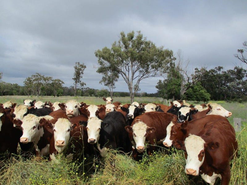 942 Acres, Bell, Qld 4408 Property Details