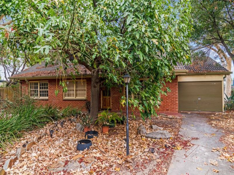 19 Hollard Avenue Grange SA 5022 Property Details