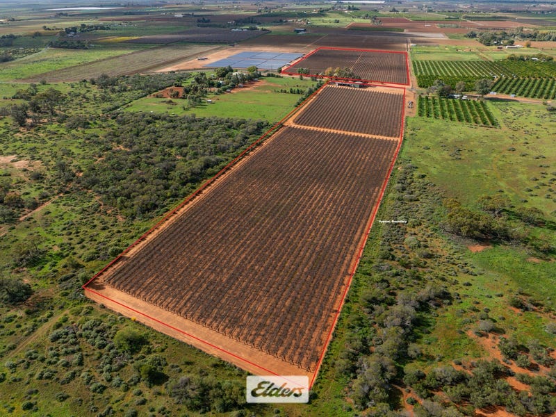 Car Inspection Monkey Rural properties for Sale in NSW (+3 locations) Pg. 2 - realestate.com.au