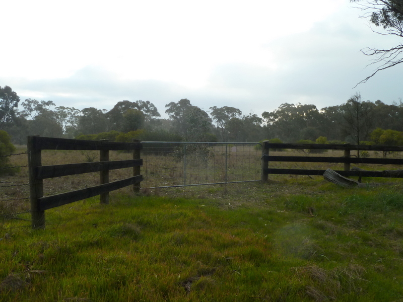 Lot 50 Wedderburn Junction EastFiery Flat Road, Wedderburn, Vic 3518