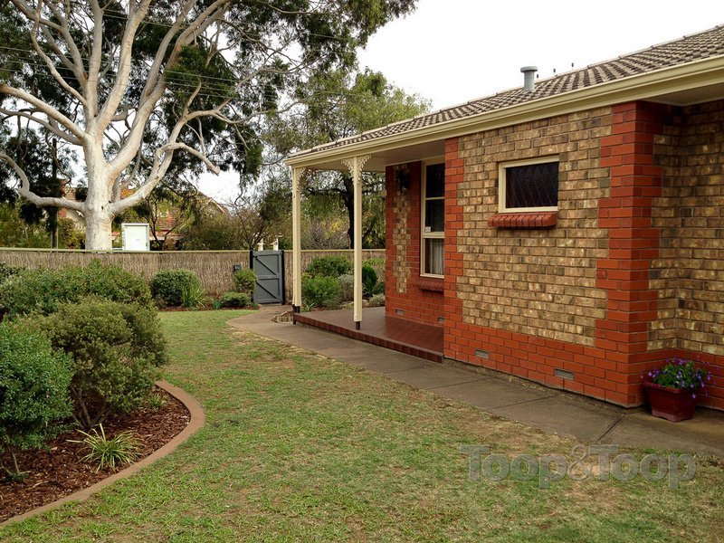 8 Taylor Terrace, Rosslyn Park, SA 5072