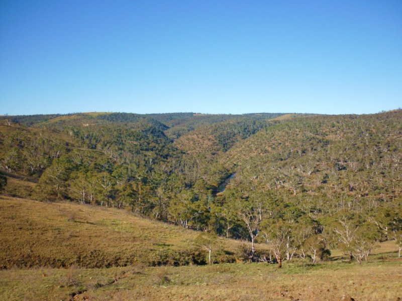 Benntts Creek Dry Plains Road, Cooma, NSW 2630 - Property Details