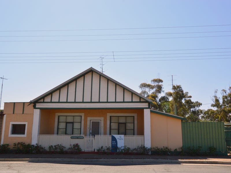 7 Stott Highway, Sedan, SA 5353 Property Details