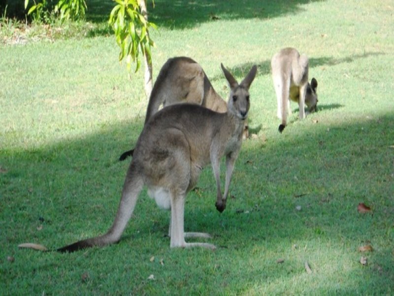 30 Bills Road, Agnes Water, QLD 4677