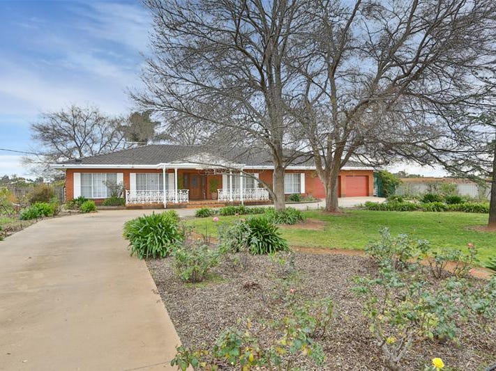 446 Morpung Avenue, Irymple, Vic 3498 Property Details