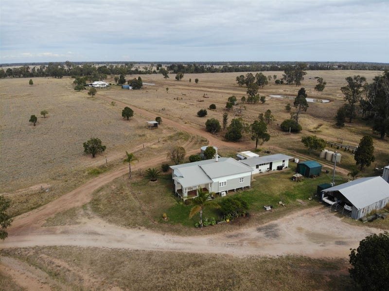 603 Burncluith Road, Chinchilla, Qld 4413 Livestock for Sale