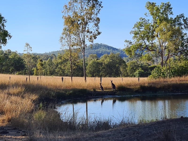 Lot 65 Coleyville Road, Coleyville, QLD 4307 - realestate.com.au