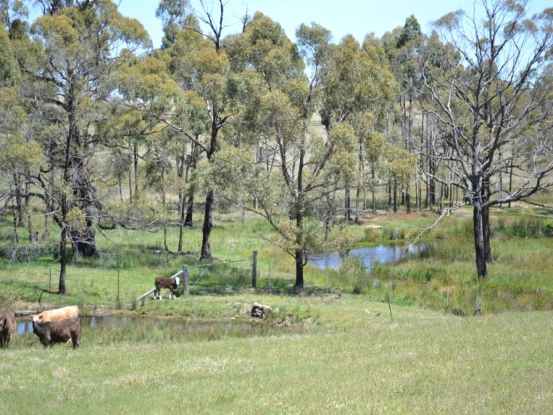 151 Scribbly Gum Lane, Wingello, NSW 2579