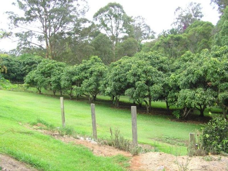 26 Pinewood Street, Upper Coomera, QLD 4209