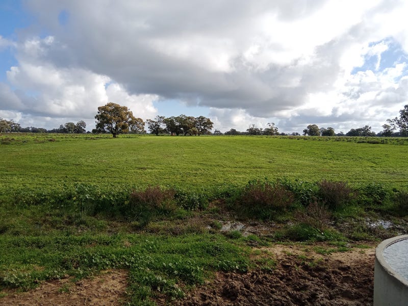 Lot 2 Moulamein Road, Barham, NSW 2732 Cropping for Sale realestate