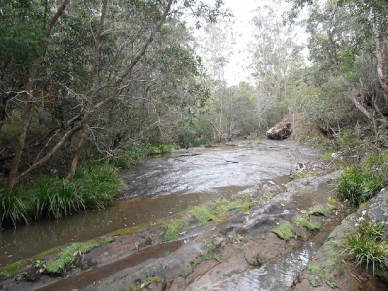 Lot 21 Stockyard Creek Road, Coaldale, NSW 2460 Property Details