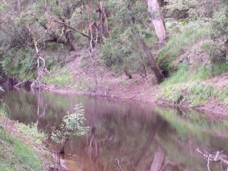 1975 Carlisle Road, Carlisle River, Vic 3239