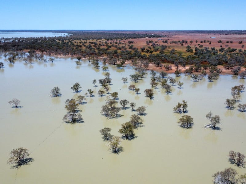 Real Estate & Property for Sale in Ivanhoe, NSW 2878