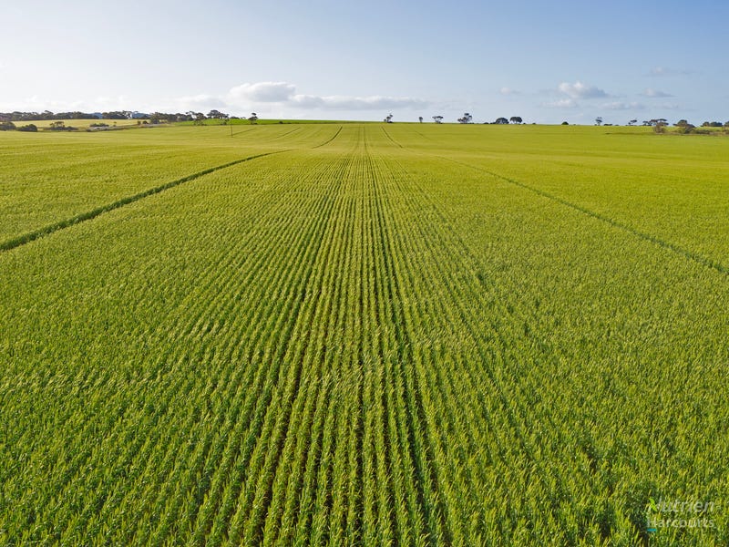 3132 Clinton Road, Clinton, SA 5570 Cropping for Sale