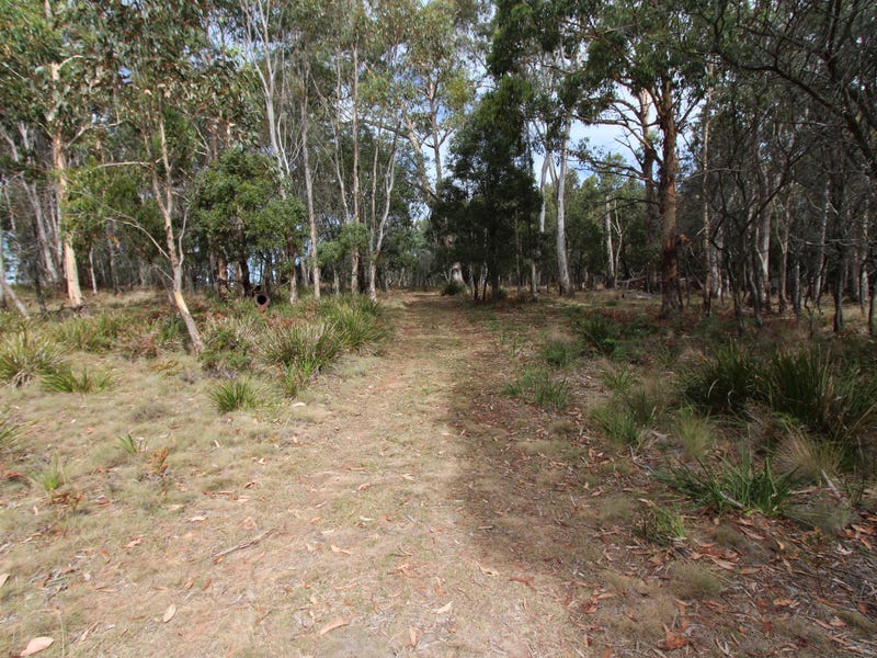 1238 Sunny Corner Road, Sunny Corner, NSW 2795