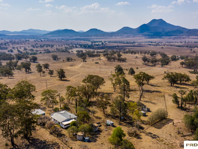 862 Purlewah Road, Werris Creek, NSW 2341 House for Sale realestate