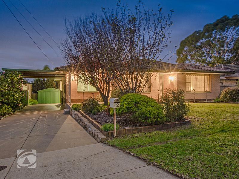 12 Barns Avenue, Highbury, SA 5089