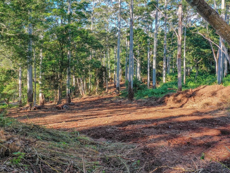 78 Long Road, Tamborine Mountain, QLD 4272