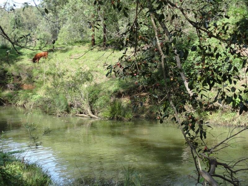 1527 Afterlee Road, Kyogle, NSW 2474 Property Details