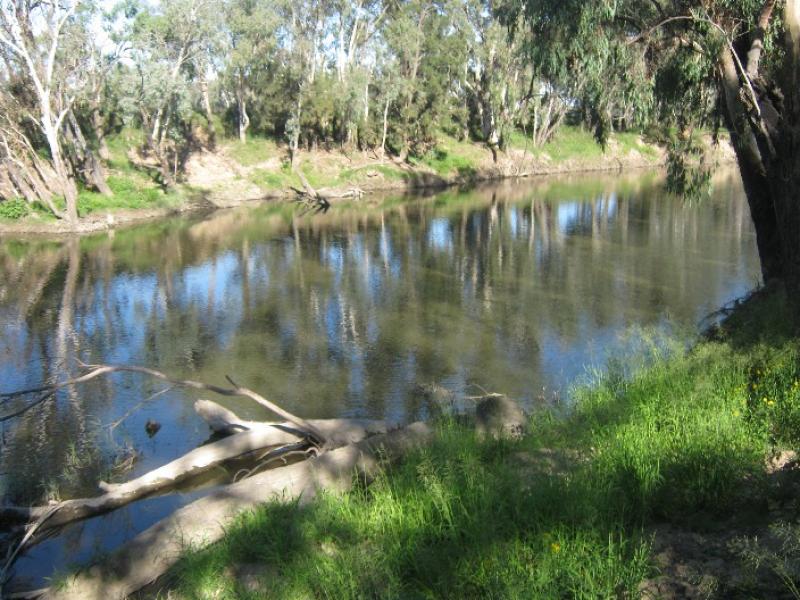 Lyndale, Texas, NSW    4385 - Mixed Farming for Sale 