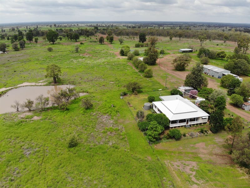 955 Red Hill Road, Chinchilla, Qld 4413 Livestock for Sale