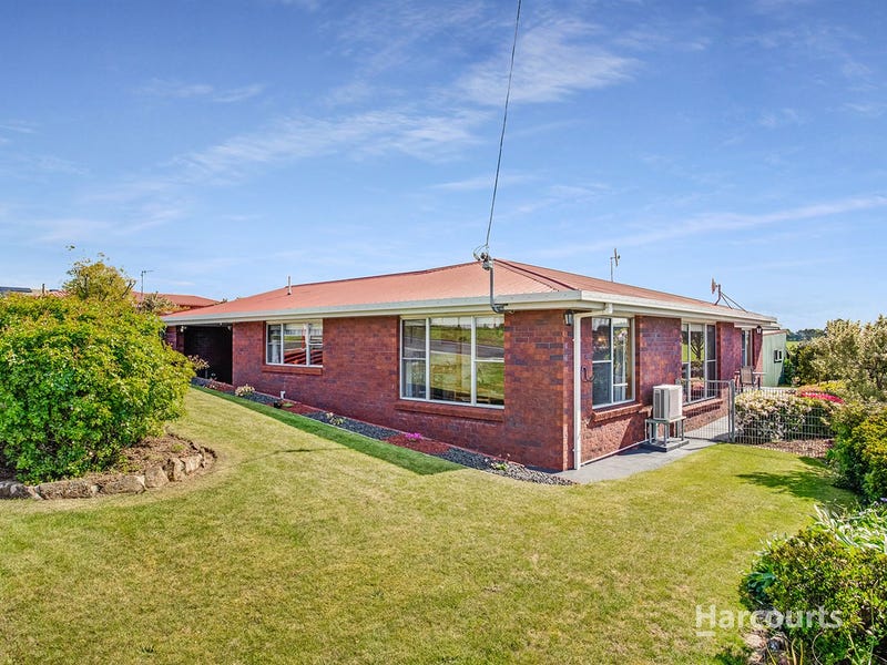 1238 West Mooreville Road, Ridgley, TAS 7321