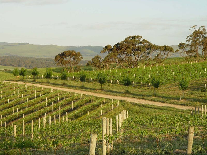 296 Rosedale Scenic Road, Lyndoch, SA 5351