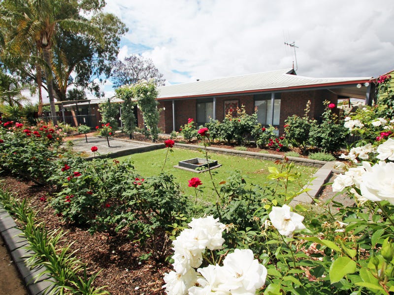 16 Kulkyne Street, Renmark, SA 5341 Property Details