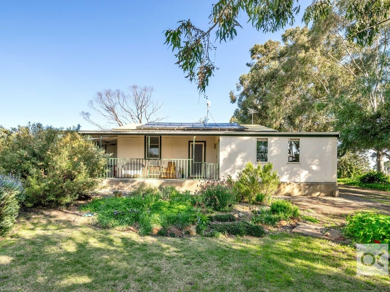 97 Douglas Gully Road, Mclaren Flat, SA 5171