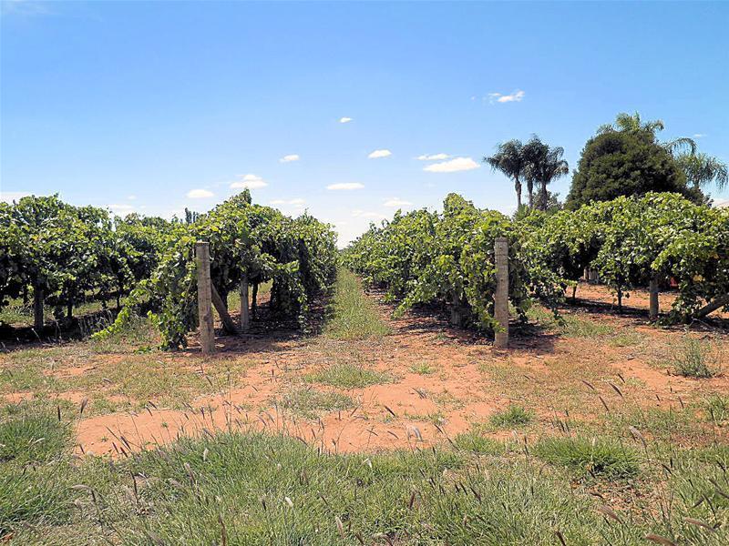 302 Irymple Avenue, Nichols Point, VIC 3501