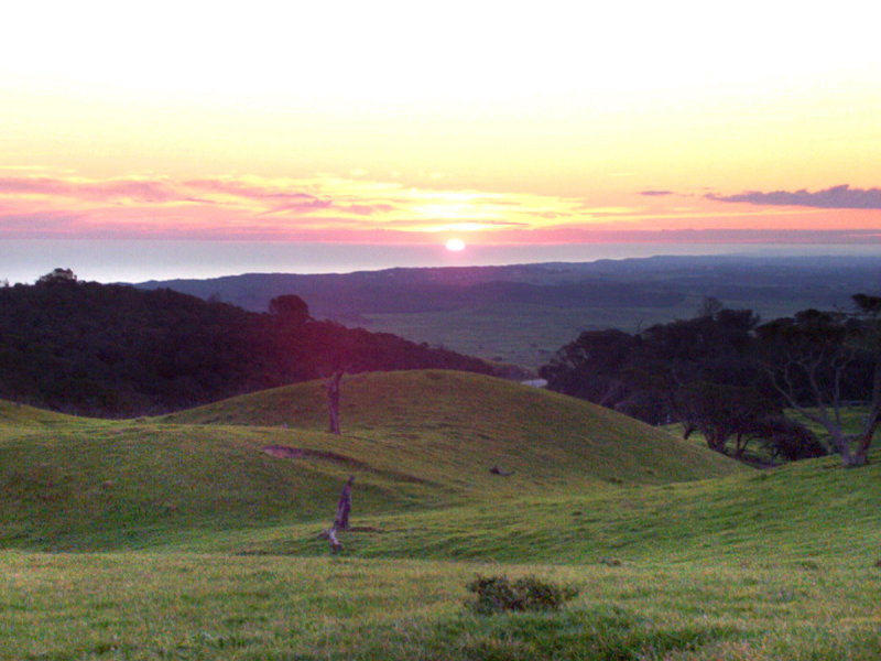 1036 Boneo Road, Cape Schanck, VIC 3939