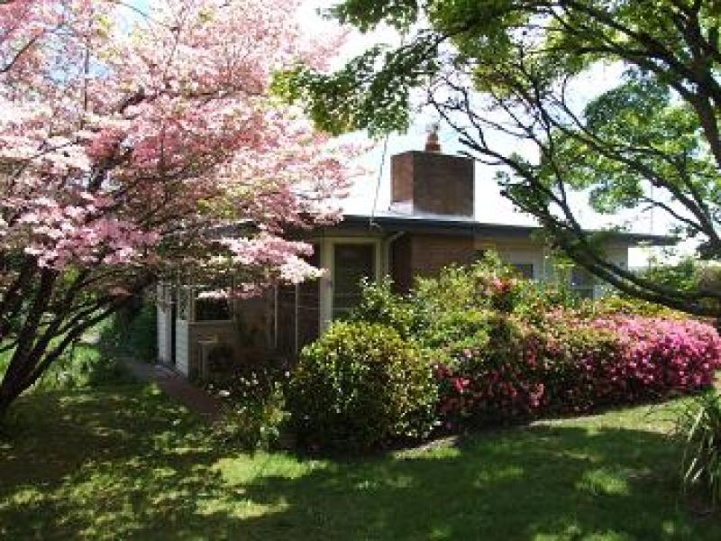 29 Mountain Avenue, Mount Beauty, VIC 3699