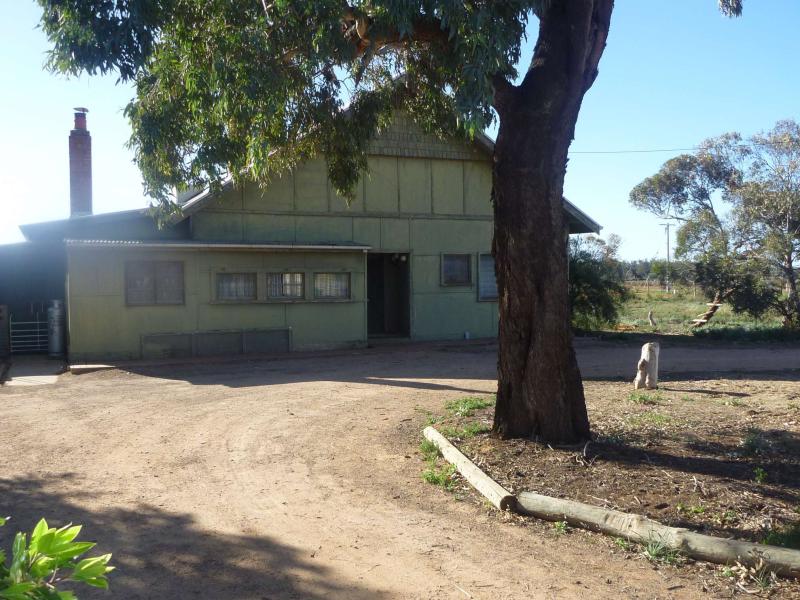 19 Peppertree Lane, Dareton, NSW 2717 Property Details