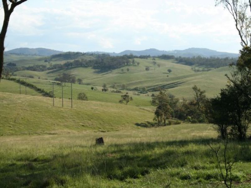 72 Nutshell Road, Tenterfield, NSW 2372