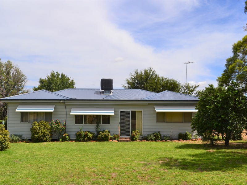 223 Kaputar Road, Narrabri, NSW 2390