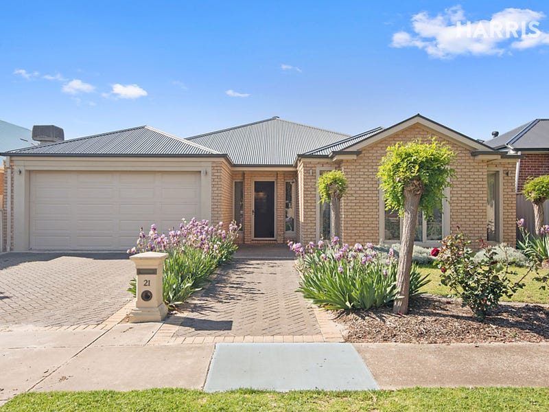 21 Harding Street, Glengowrie, SA 5044