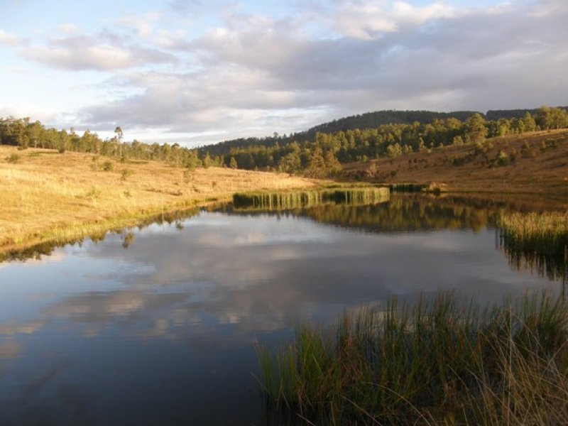 Lot 24 Boundary Creek Road, Nymboida, NSW 2460 Property Details