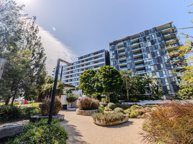 11002/320 MacArthur Avenue, Hamilton, Qld 4007 House for Rent