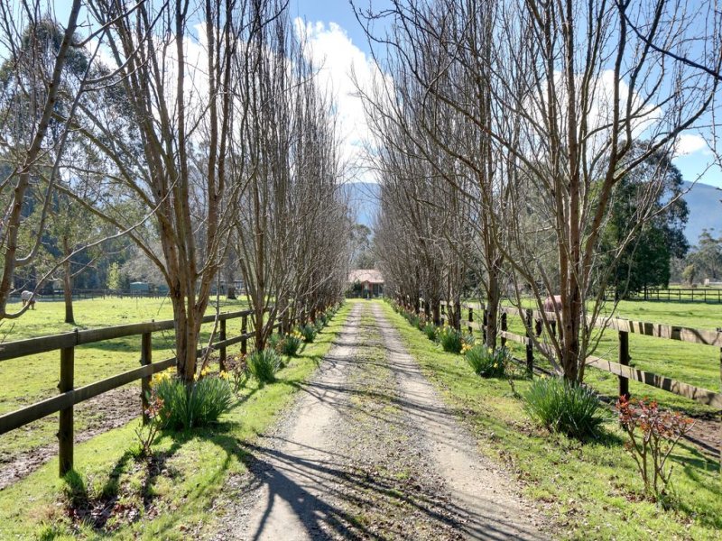 200 Settlement Road, Yarra Junction, VIC 3797